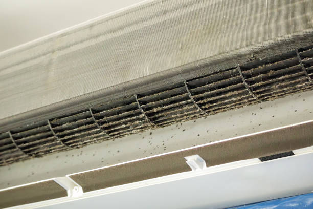 Best Local Air Duct Cleaning Services  in Clarksville, IN